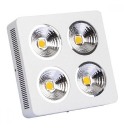 CREE CXB3590 – Pflanzen Lampe Led – Vollspektrum 4x200W